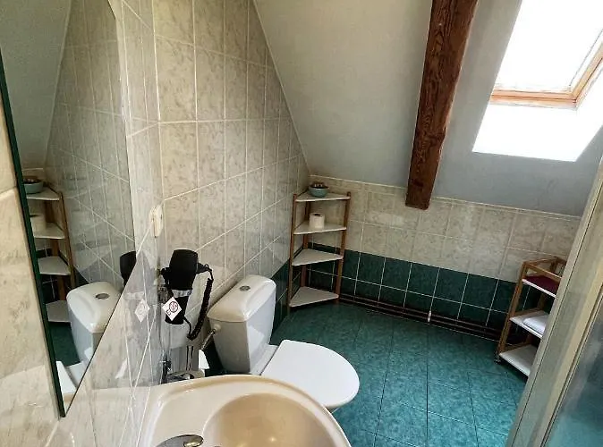 Vendégház U Kohoutu Horní Planá